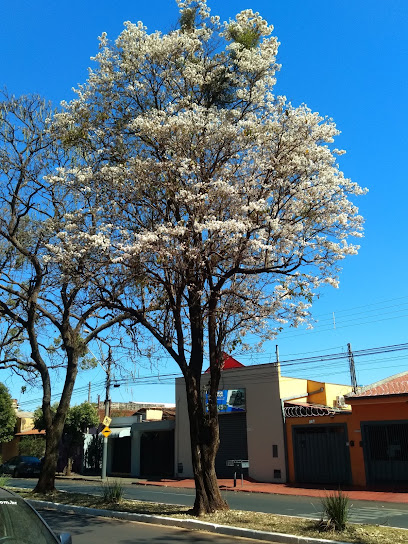 Sertãozinho - SP