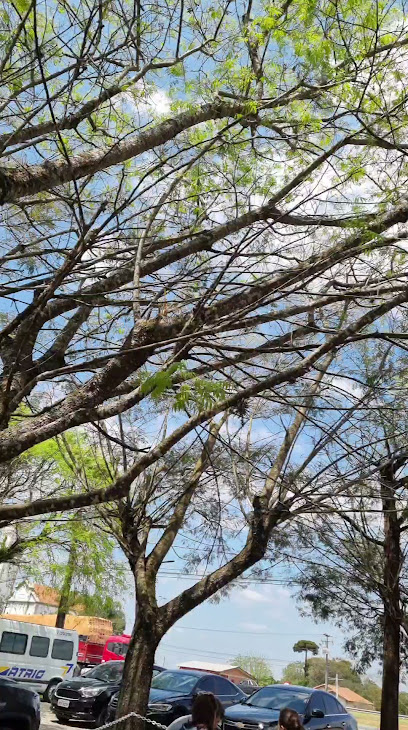 Foto cidade de Araucária - PR