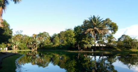 Foto cidade de Ariquemes - RO