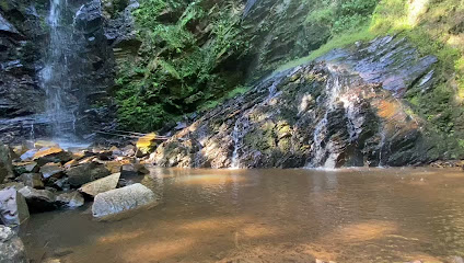 Foto cidade de Campo Largo - PR