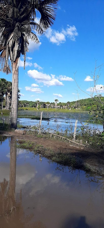 Foto cidade de Chapadinha - MA Foto cidade de Chapadinha - MA