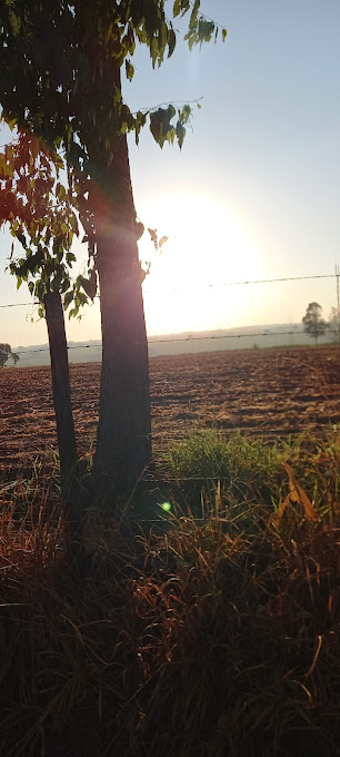 Foto cidade de Mirassol - SP