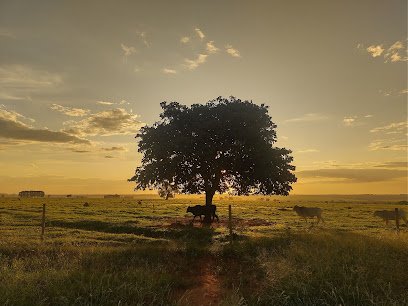 Foto cidade de Nova Andradina - MS