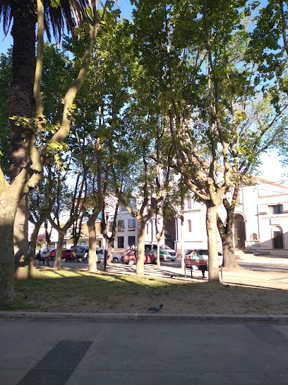 Foto cidade de Pando - CA