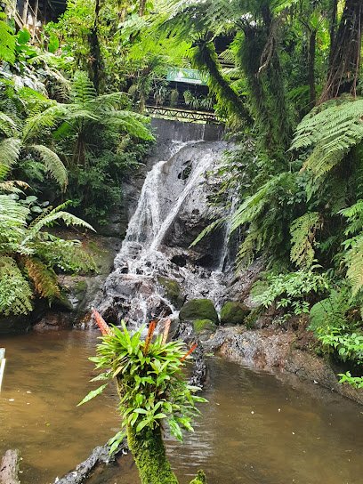 Foto cidade de Piraquara - PR