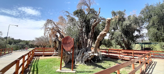 Foto cidade de Rioja - LR Foto cidade de Rioja - LR