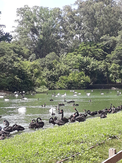 Foto cidade de Sapucaia do Sul - RS
