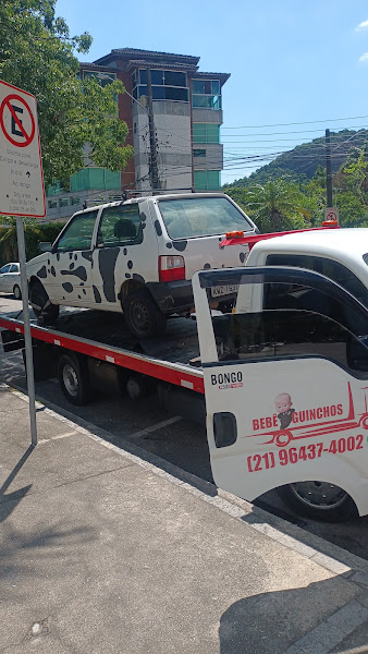 Foto 2 Bebê Guinchos