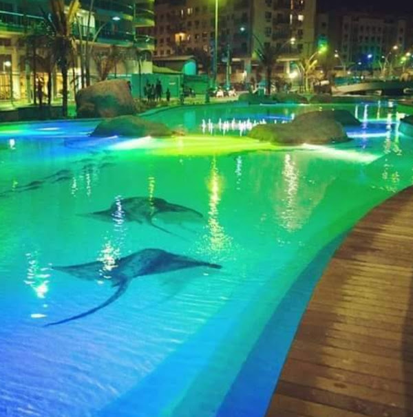 Foto 1 Praça das Águas