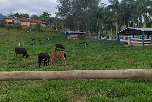Foto 1 PROJETAR Consultoria e Assistência Técnica Rural
