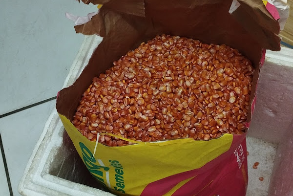 Foto 1 Agroboi de Muriaé Foto 1 Agroboi de Muriaé