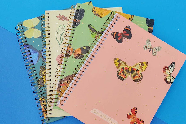 Foto 2 Papelaria Thomé